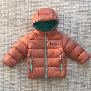 Patagonia Hi Loft Puffer Jacket (size 12-18m)